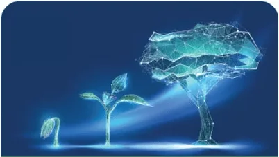 RMM as a service from BTI for IT management & BCDR solutions