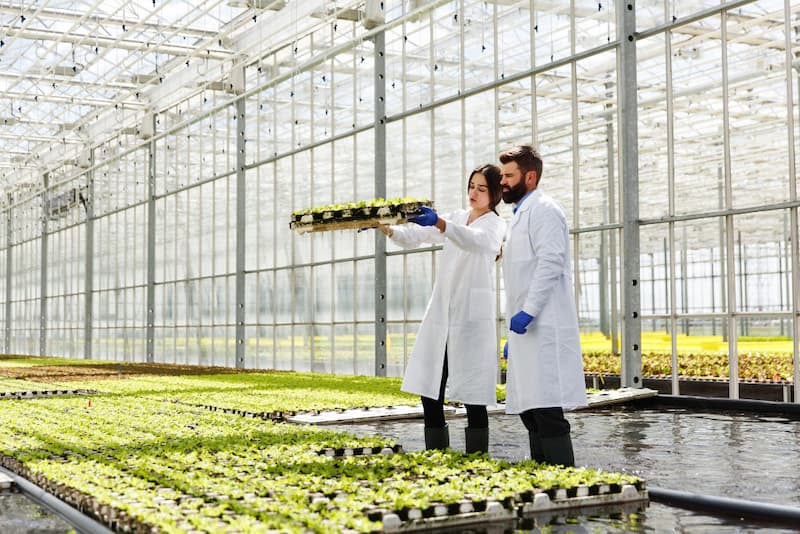 Agriculture and Food Industry