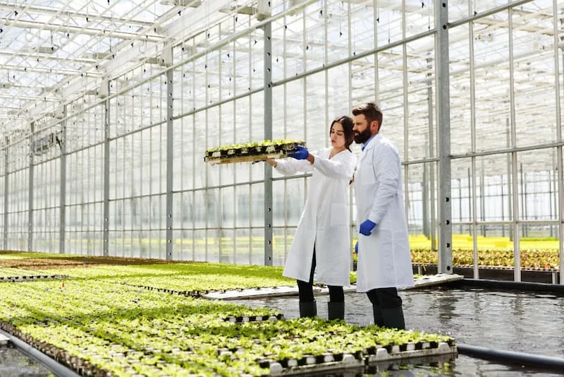 Agriculture and Food Industry